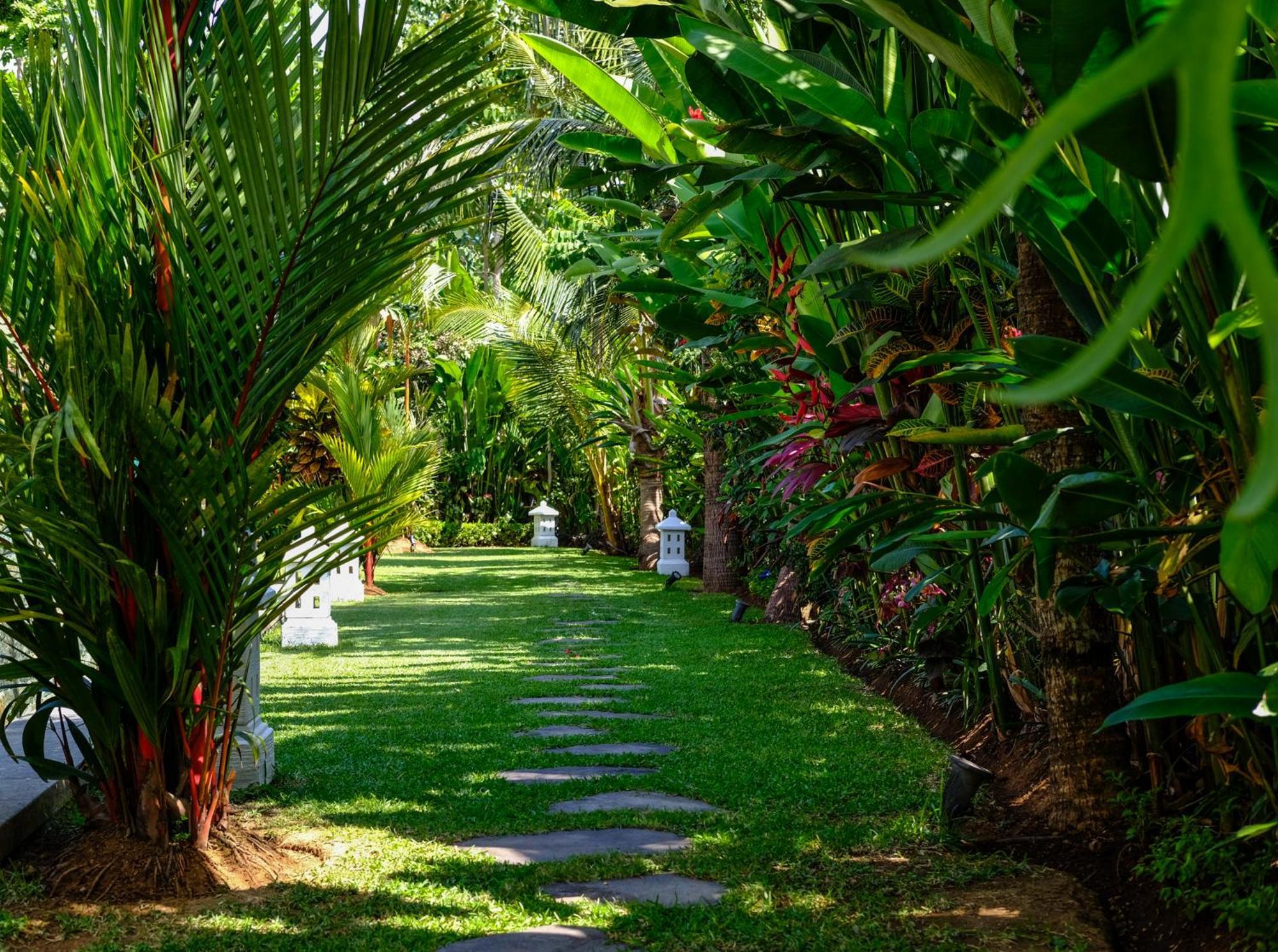 Villa Mata Hari Panji Dış mekan fotoğraf